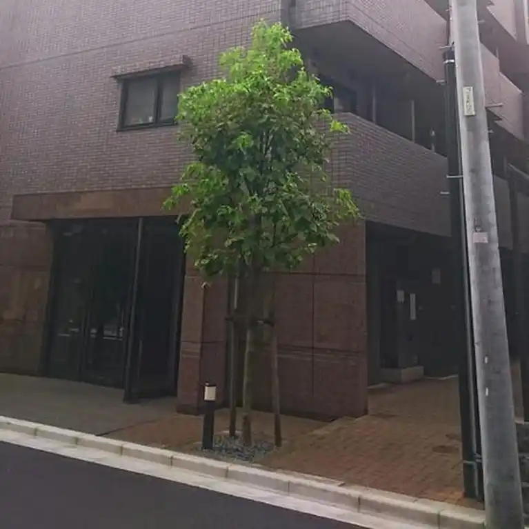 ルーブル江古田伍番館