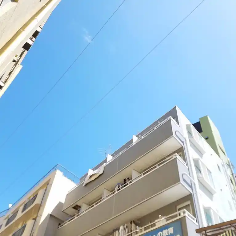 第二ウッドムーン 外観