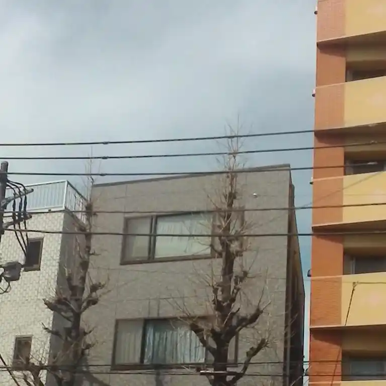 弥生マンション目白台 外観