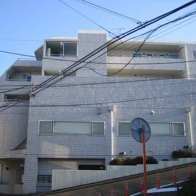 レスポアール293 外観