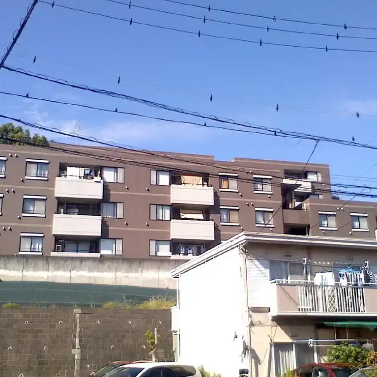 ラムズ中山