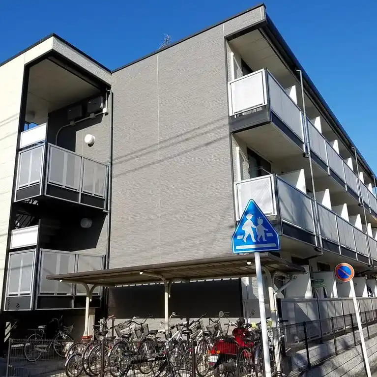 REOPAKIVA