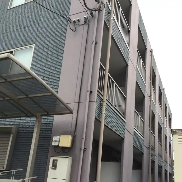 アンプルールフェール岩波