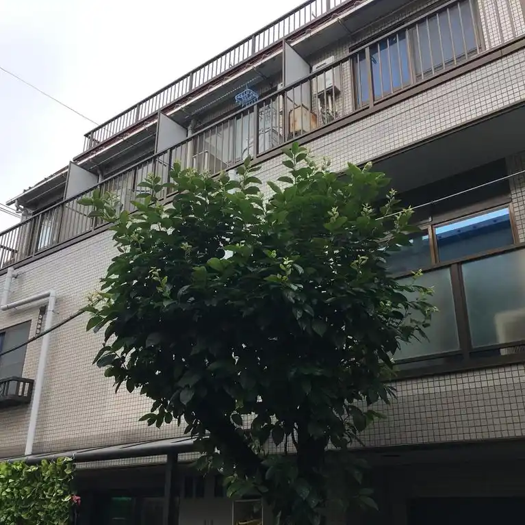 パーシモンハウス 外観