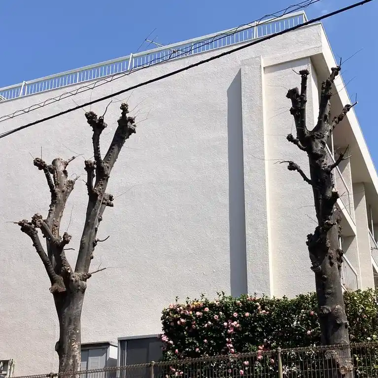 東京都住宅供給公社江古田住宅12号棟