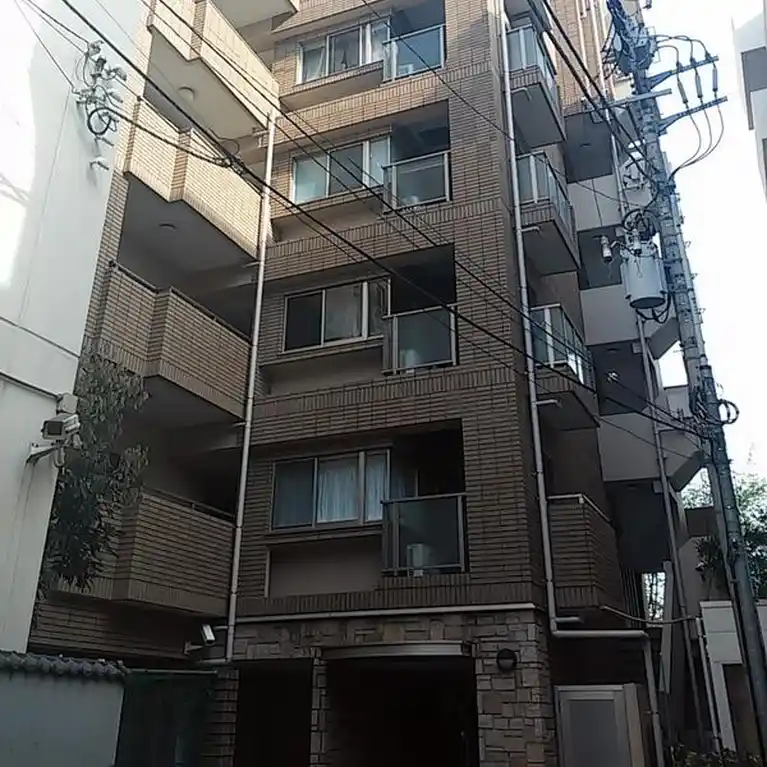 ラウンドマンションV 外観