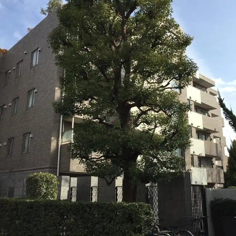 グランデ城山 外観