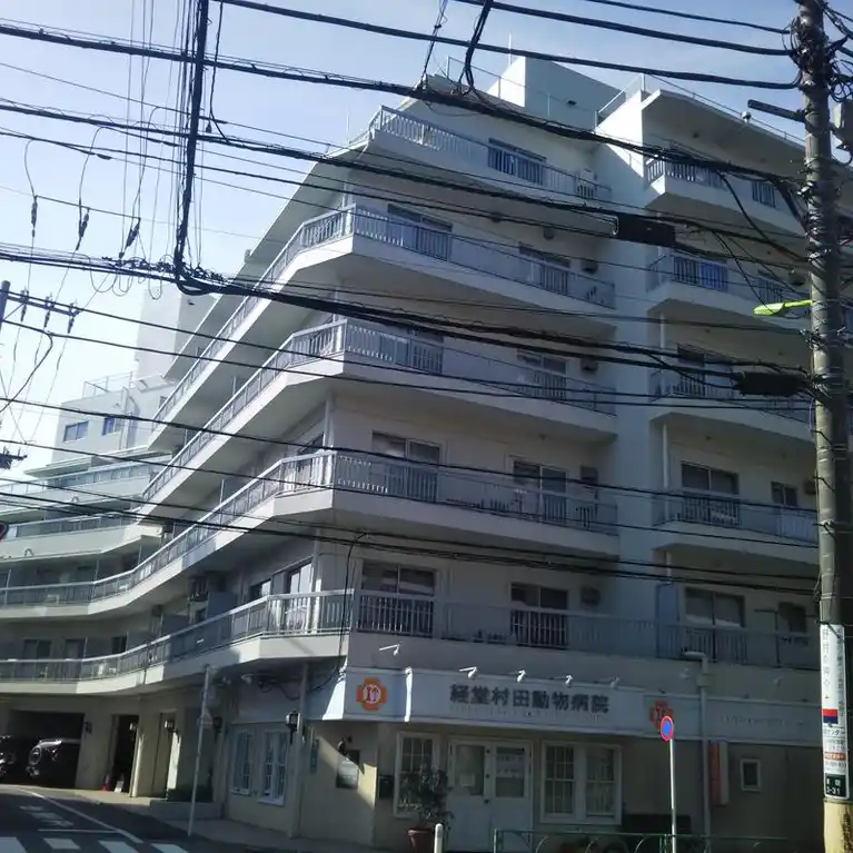 経堂スカイマンション 外観