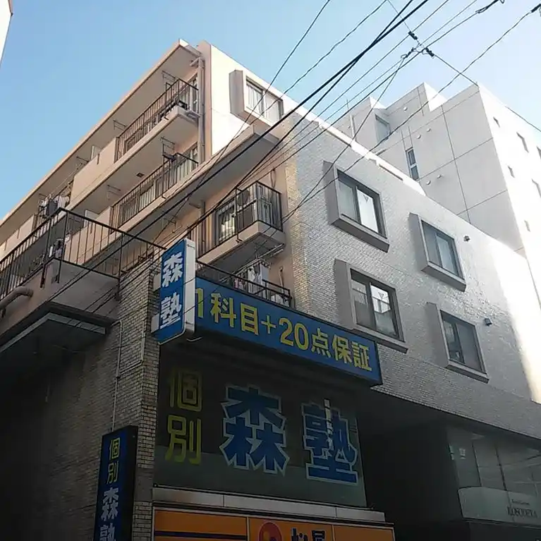 成城学園ビューハイツ 外観