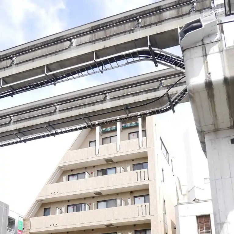 静フェバレット 外観
