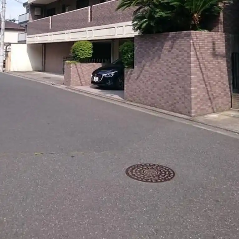 セレッサYS