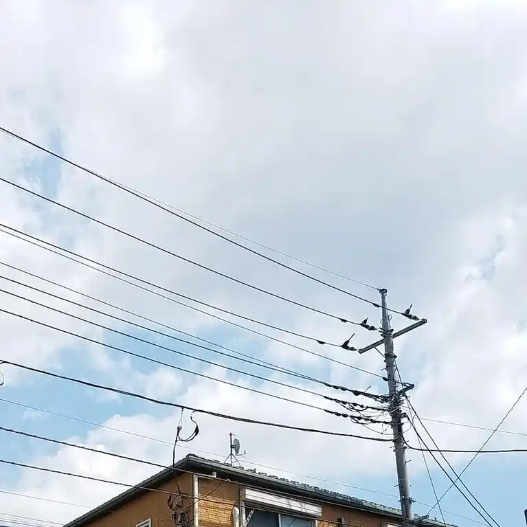 プリムローズ 外観