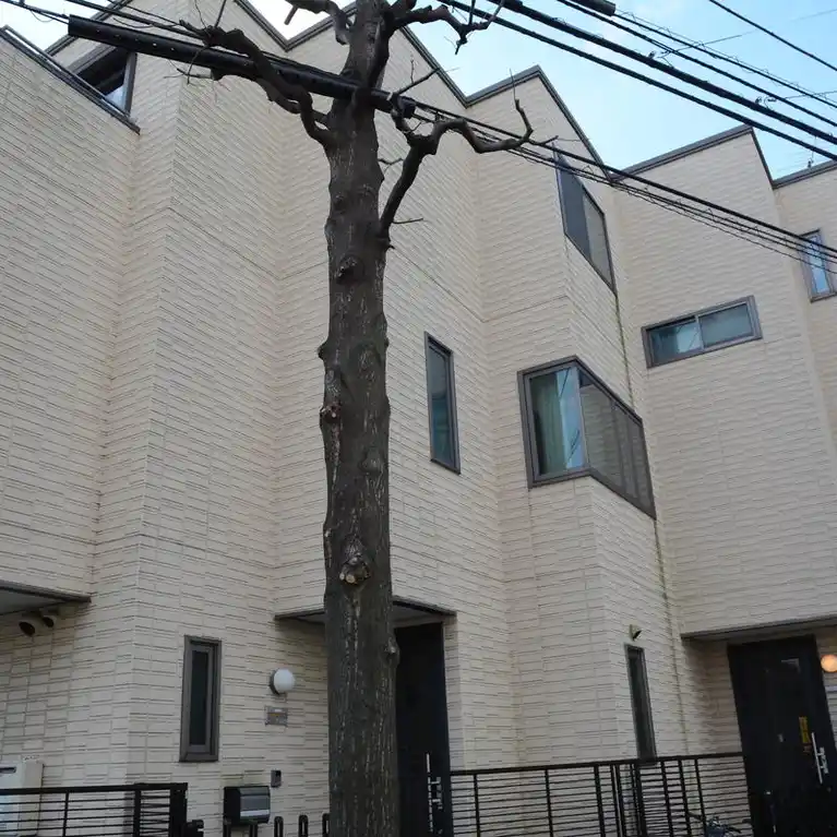 ルミエール 外観
