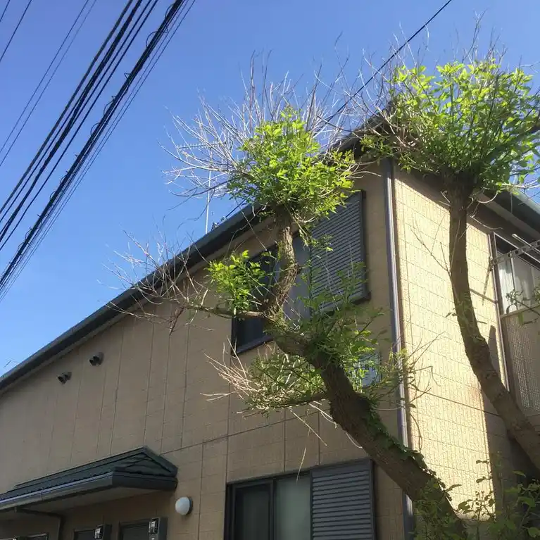 サンライフ片瀬 外観