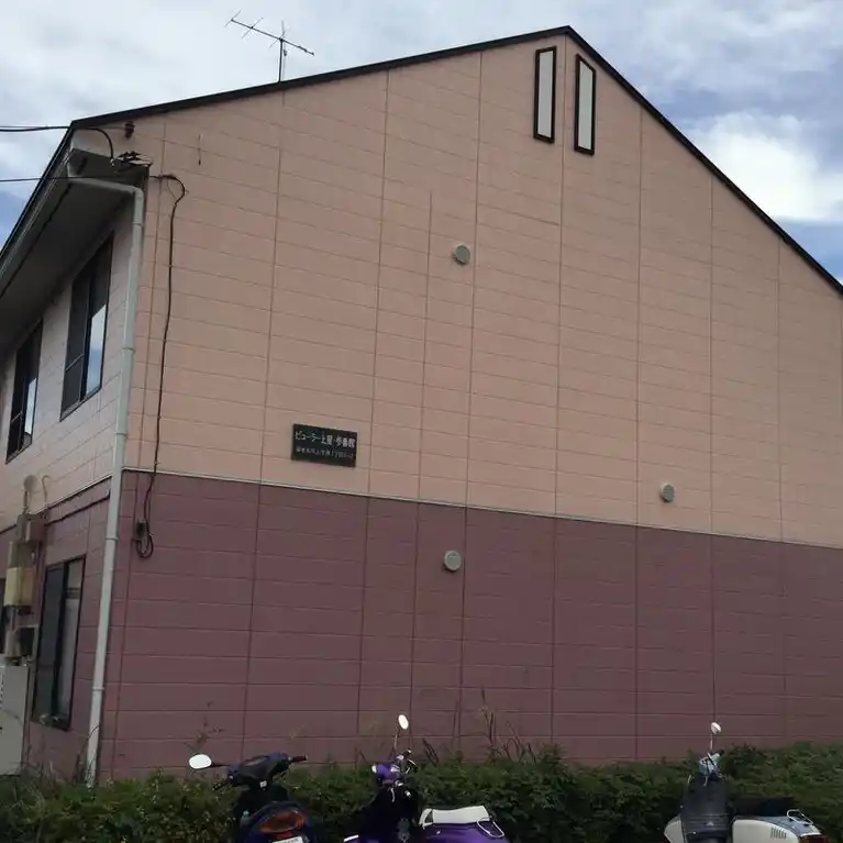 ビューラー上星・参番館