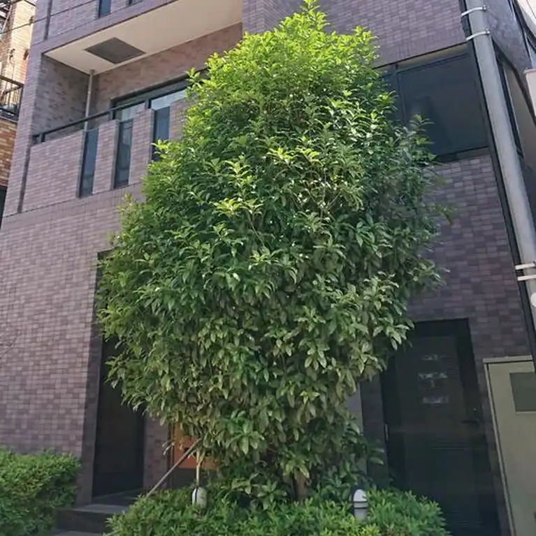 菱和パレス早稲田壱番館