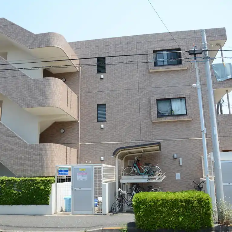 カロ カステロ 玉川