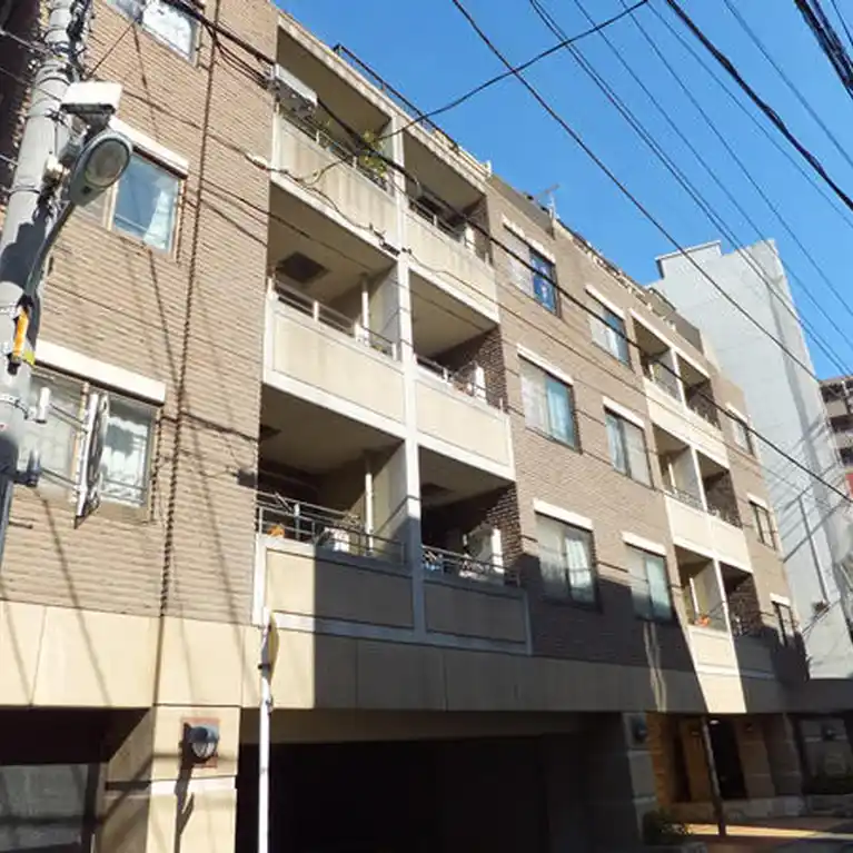 セーナ中野