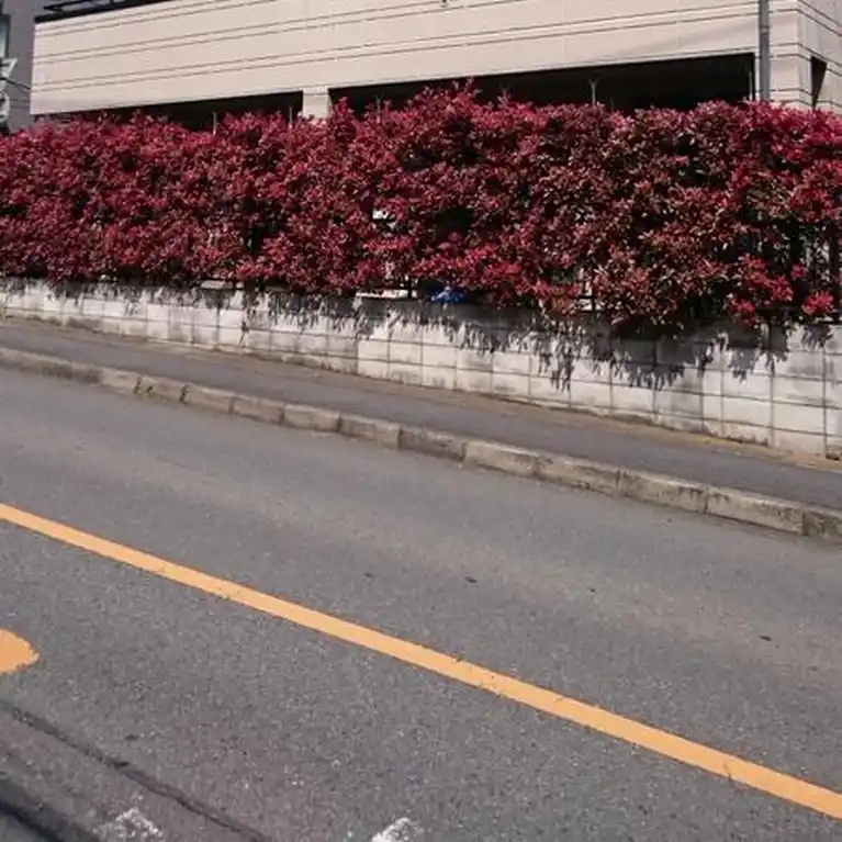メゾン・ムカサ 外観