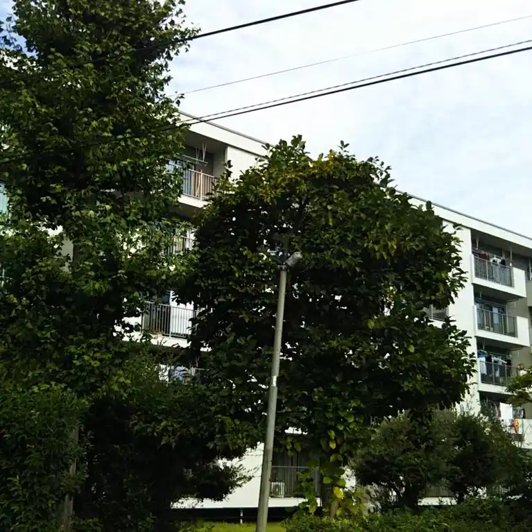 富士見町団地30号棟 外観