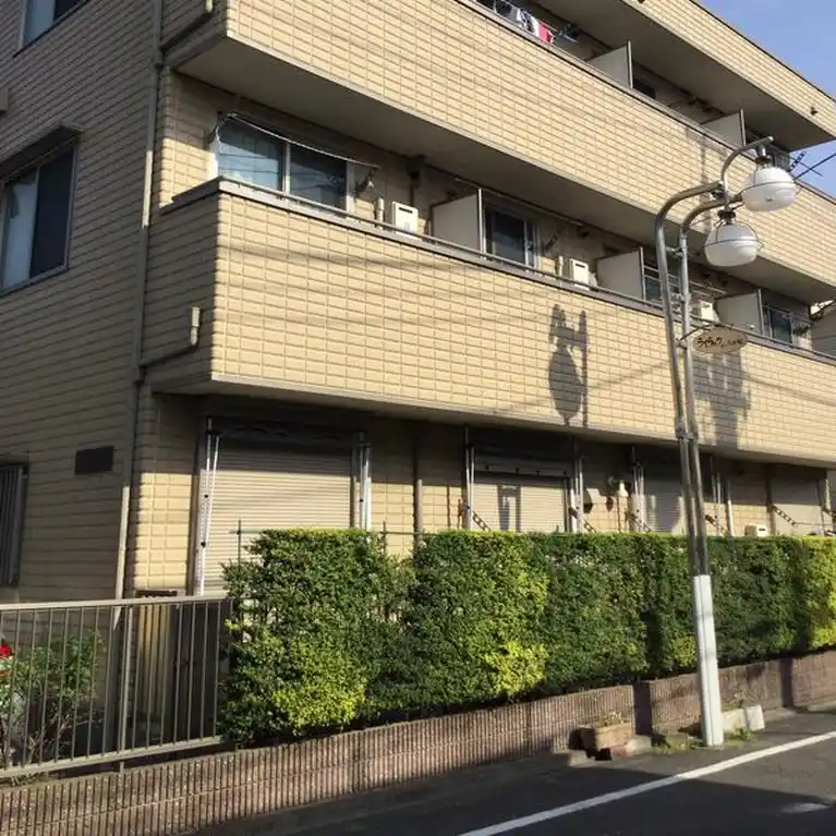 コートライラック