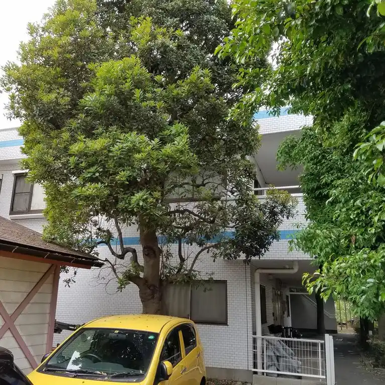 ウィズ妙蓮寺1ST 外観
