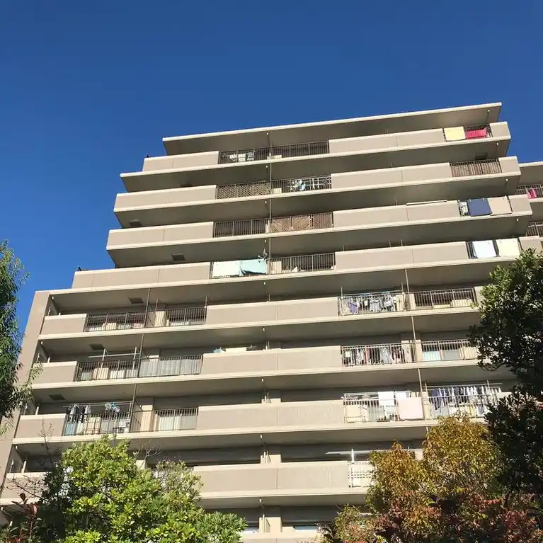 アメニクス川口