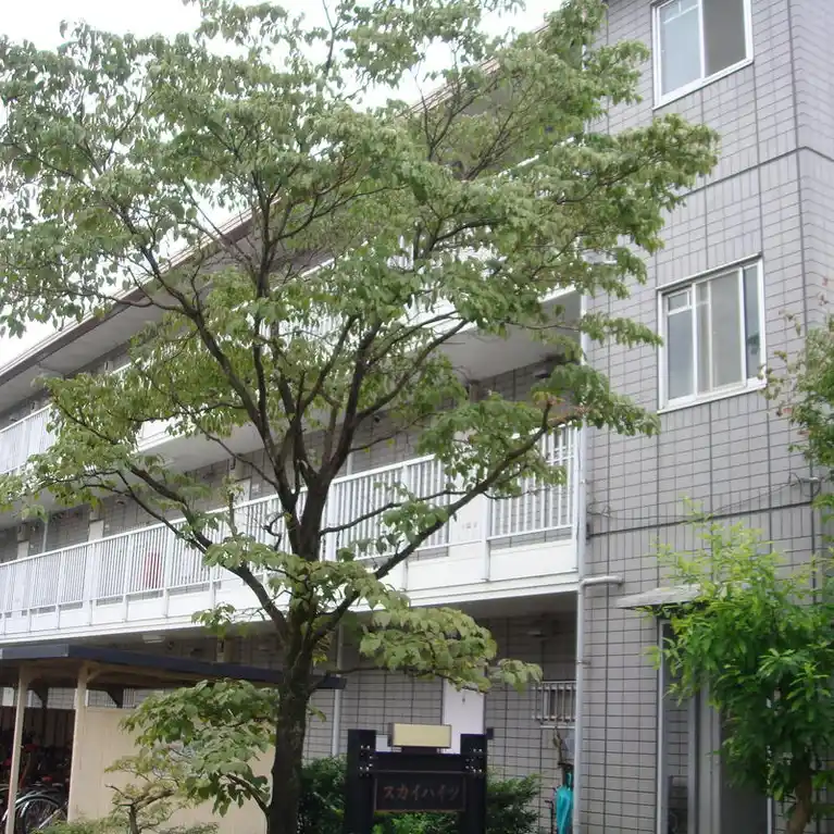 スカイハイツ 外観