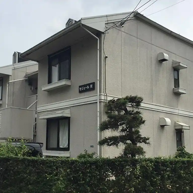 セジュール光