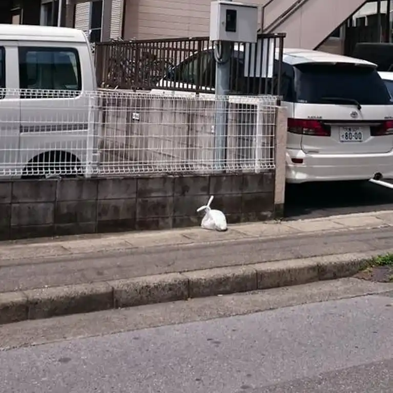 バンガード岸町