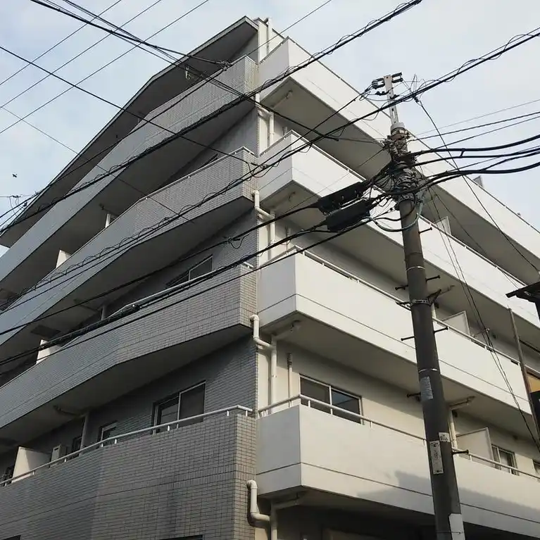 ヨコハマフィズ
