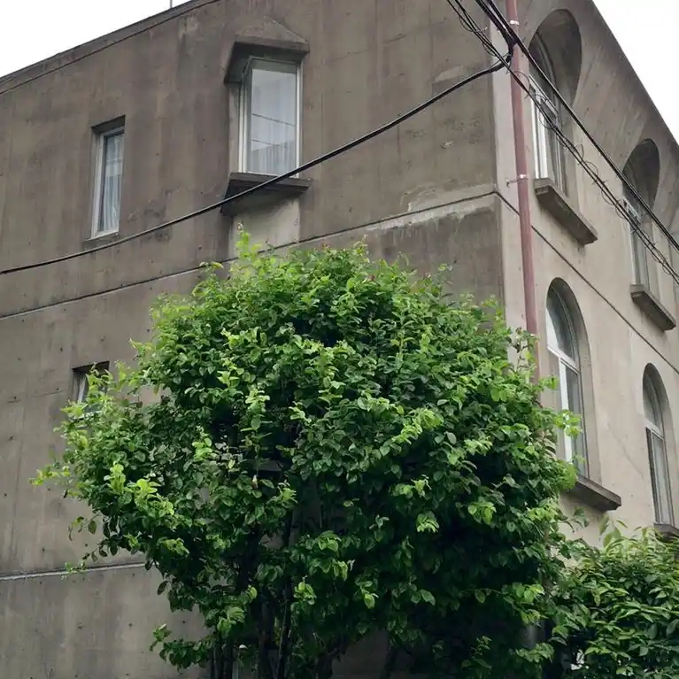 桜花苑 外観