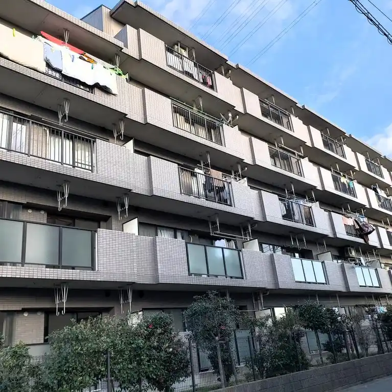 サンライズ