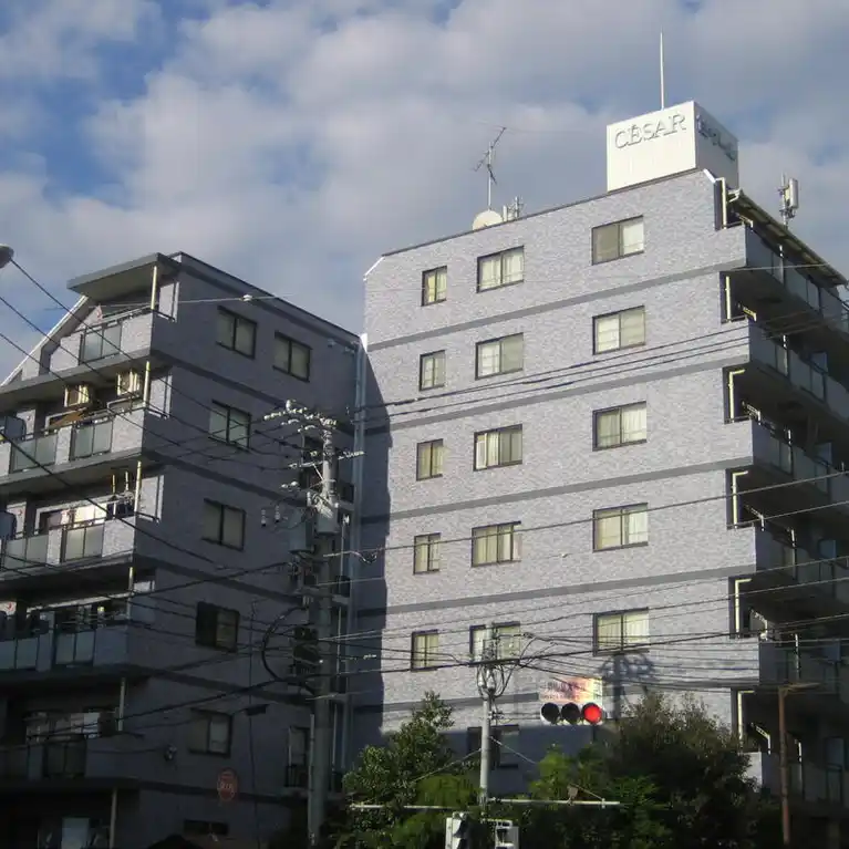 セザール桜木町