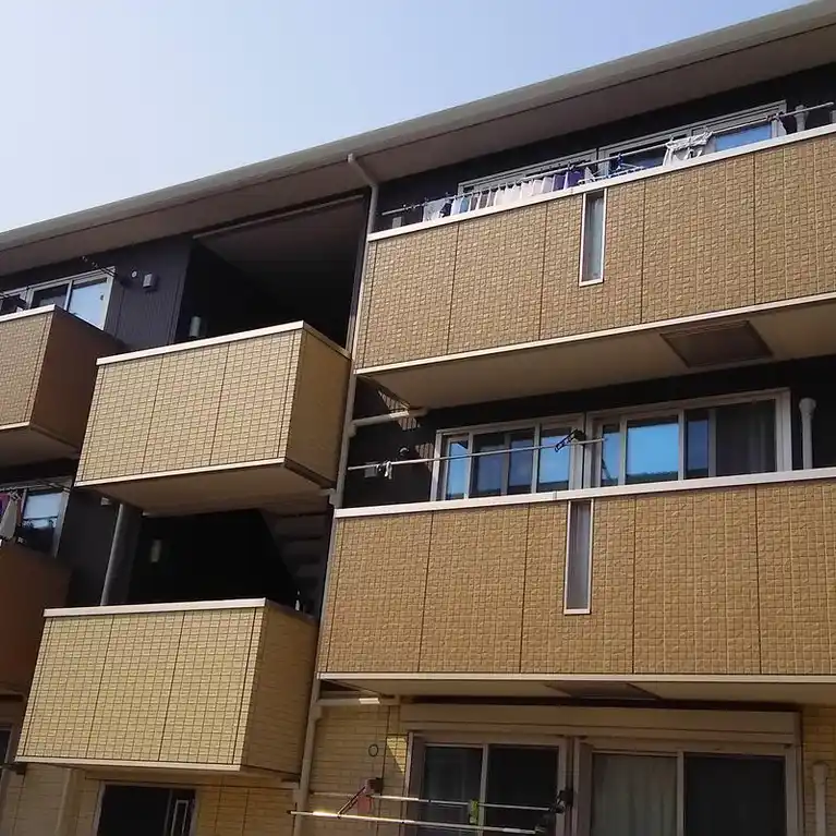 ハイビスカス 外観