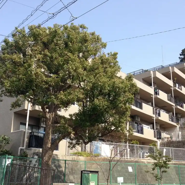 藤和ライブタウン綱島の丘Bウイング 外観