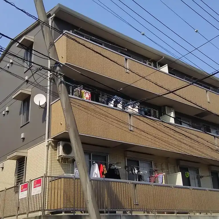 プルメリア