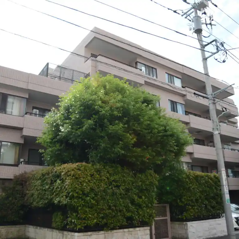 コスモ池上エクセラ 外観