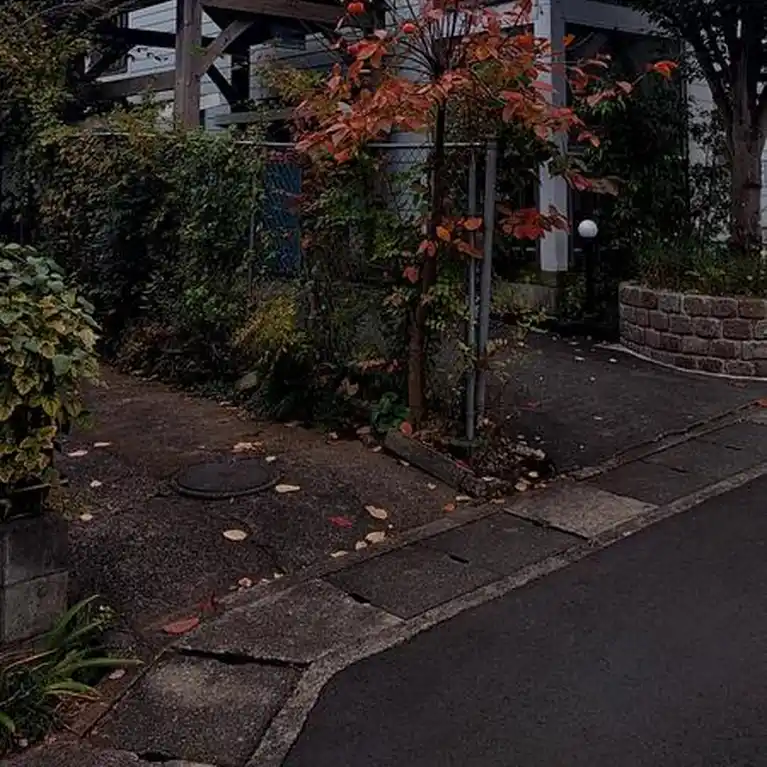 OWL HOUSE