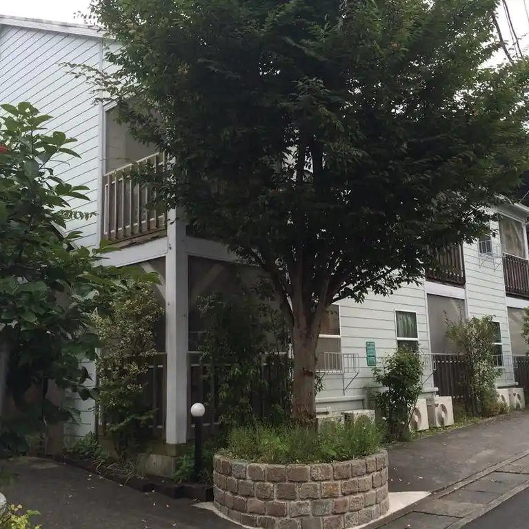 Timber Apartment 外観