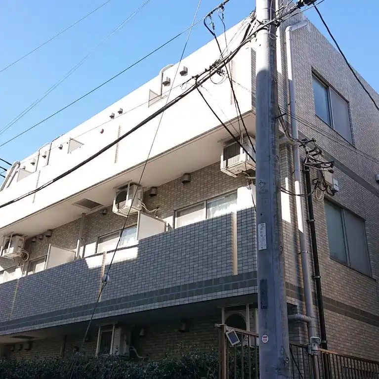 エヴァーグリーン江古田