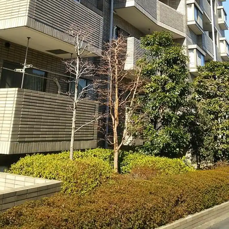 グレイスコート多摩川