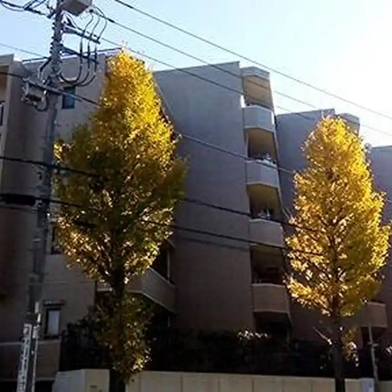 サンヴェール藤が丘 外観