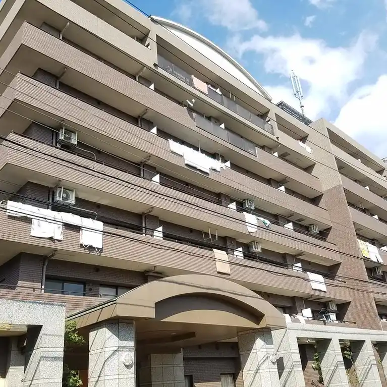 クリサンテーム妙典2