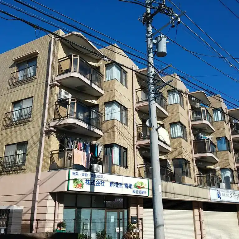 ドミナス綱島