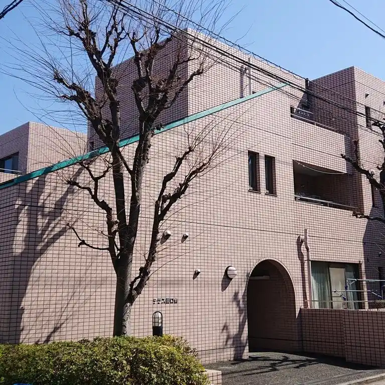 テラス関口台 外観