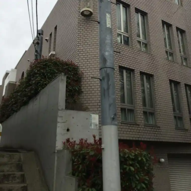 スカラすくも