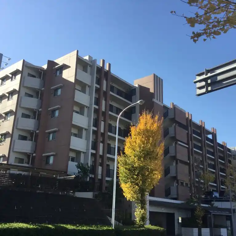 サンクタス市が尾