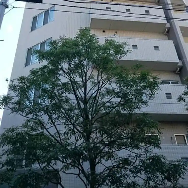 ライオンズプラザ武蔵関リュイール 外観