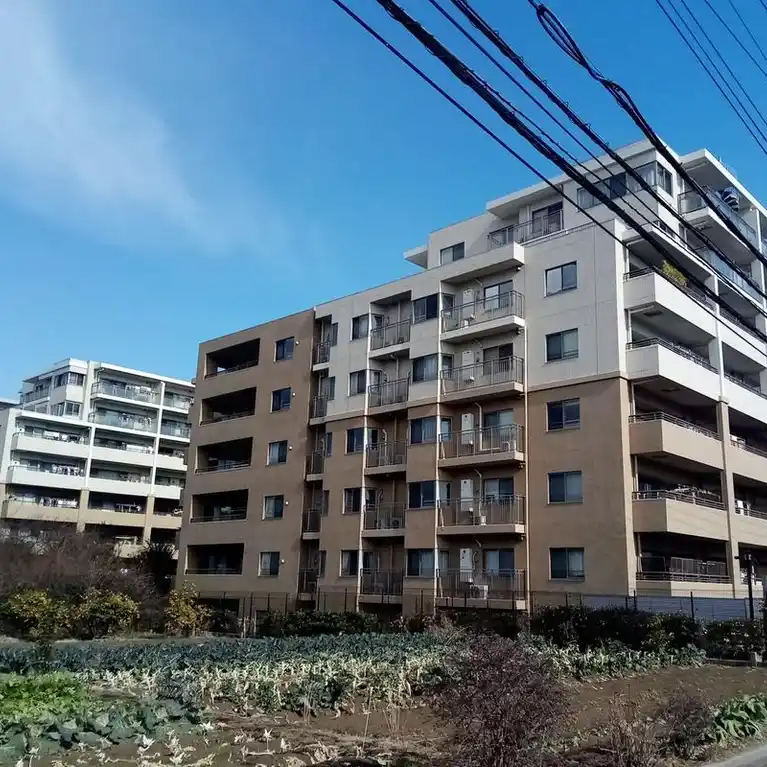 アデニウム吉祥寺